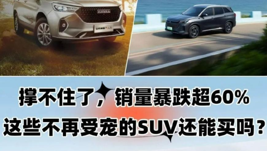 新奥门彩厉史开奖结果,你试过靠努力追上天赋吗,展开解析落实_枚举版V2.2