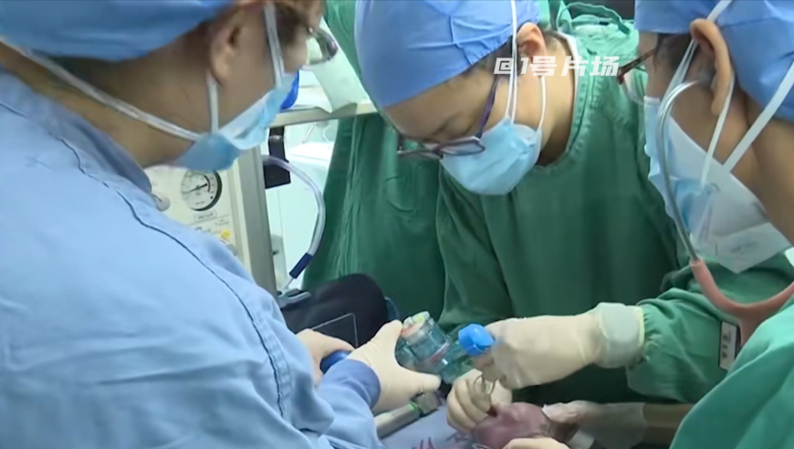 管家婆2025一码一肖图库资料,男生考研398分专业第一,前瞻性战略落实探讨_工具版V3.10